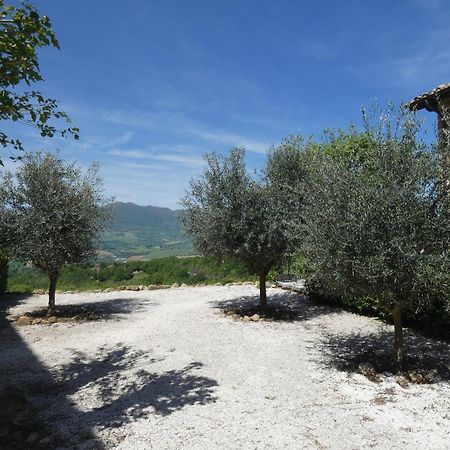 Borgo Crispiero Bed & Breakfast Екстериор снимка