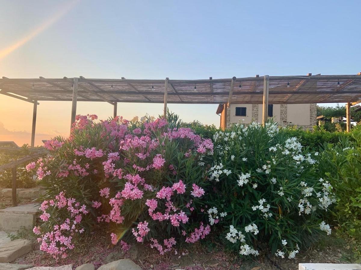 Borgo Crispiero Bed & Breakfast Екстериор снимка